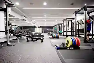 Gymnasium